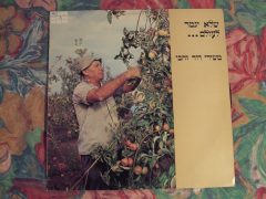 שלא יגמר לעולם... - משירי דוד זהבי